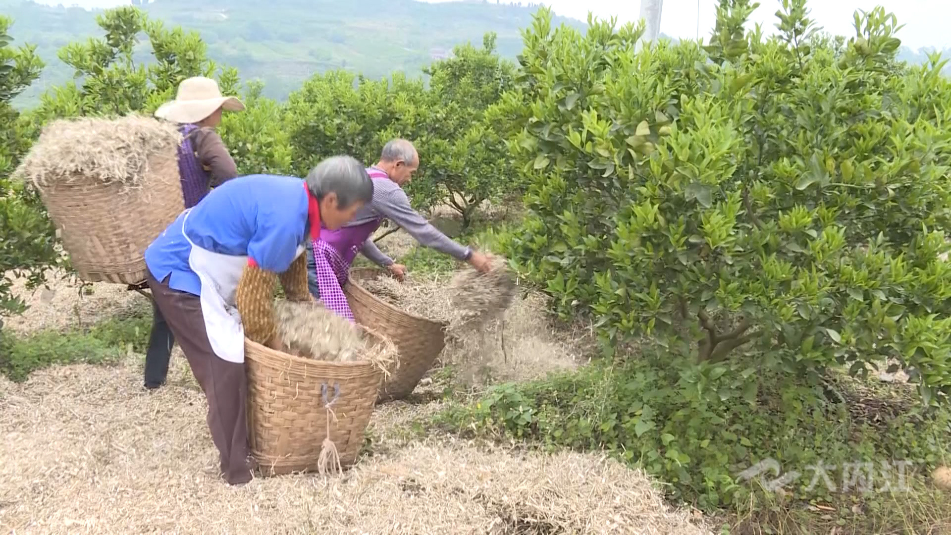 282035_1621051321355622.jpg 1.jpg