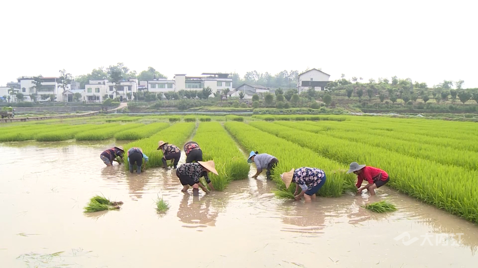 282035_1621241224335587.jpg 微信图片_20210517164301.jpg