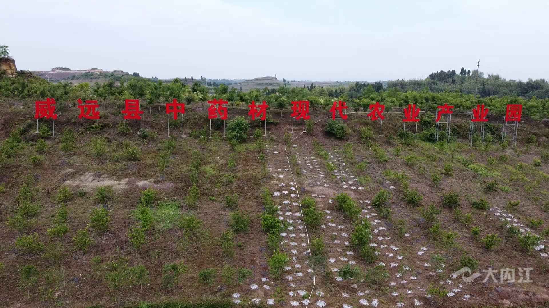 282035_1621241244621736.jpg 微信图片_20210517164258.jpg