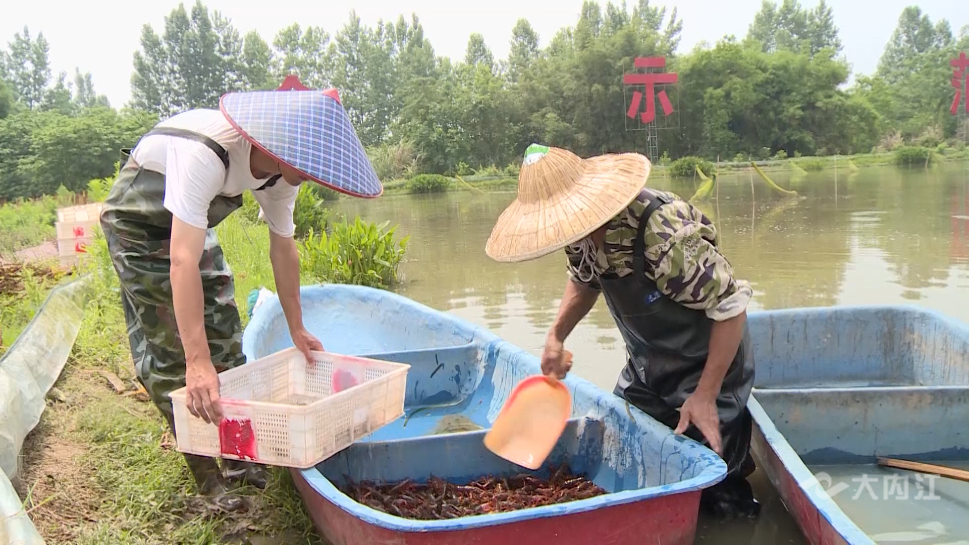 282035_1621241259185167.jpg 微信图片_20210517164244.jpg