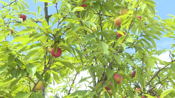 282035_1621242909266037.png 微信图片_20210517171430.png