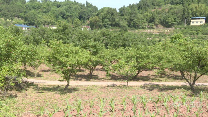 282035_1621242937347262.png 微信图片_20210517171426.png