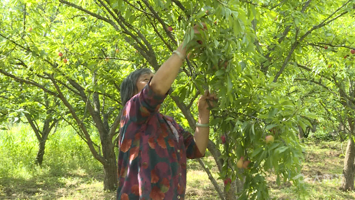 282035_1621242992859982.png 微信图片_20210517171552.png