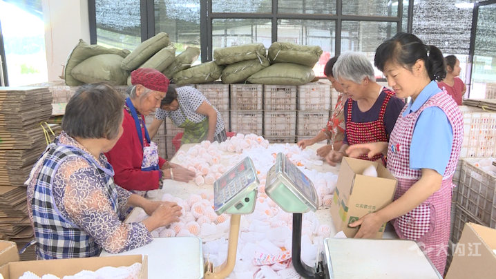 282035_1621243018675580.png 微信图片_20210517171555.png