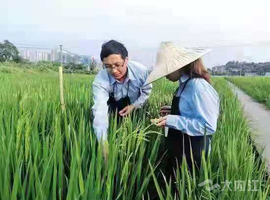 286258_1621752130267160.jpg 55.jpg