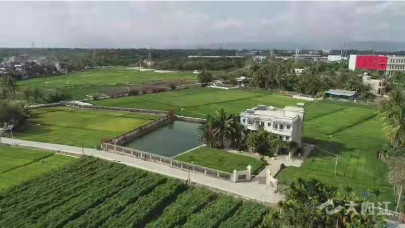 286258_1621752142542318.jpg 2.jpg