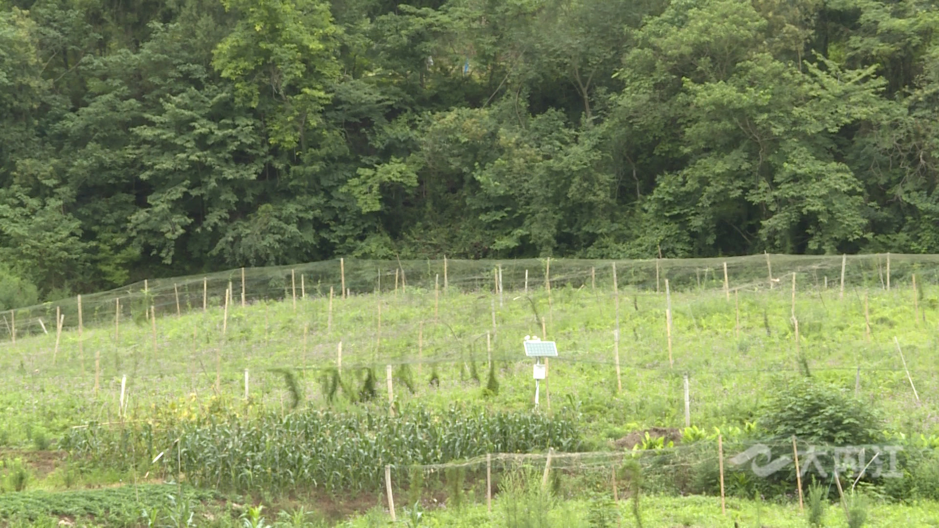 281876_1624498102134254.jpg 微信图片_20210624092448.jpg