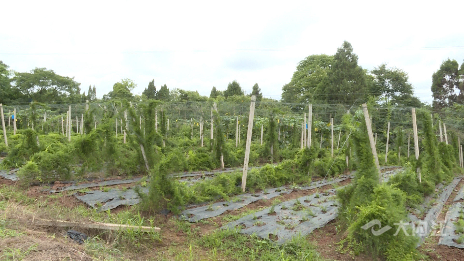 281876_1624498127670049.jpg 微信图片_20210624092451.jpg