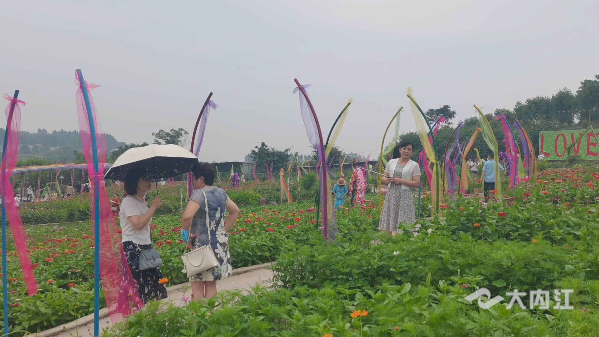 282035_1623479688532787.jpg 8.jpg