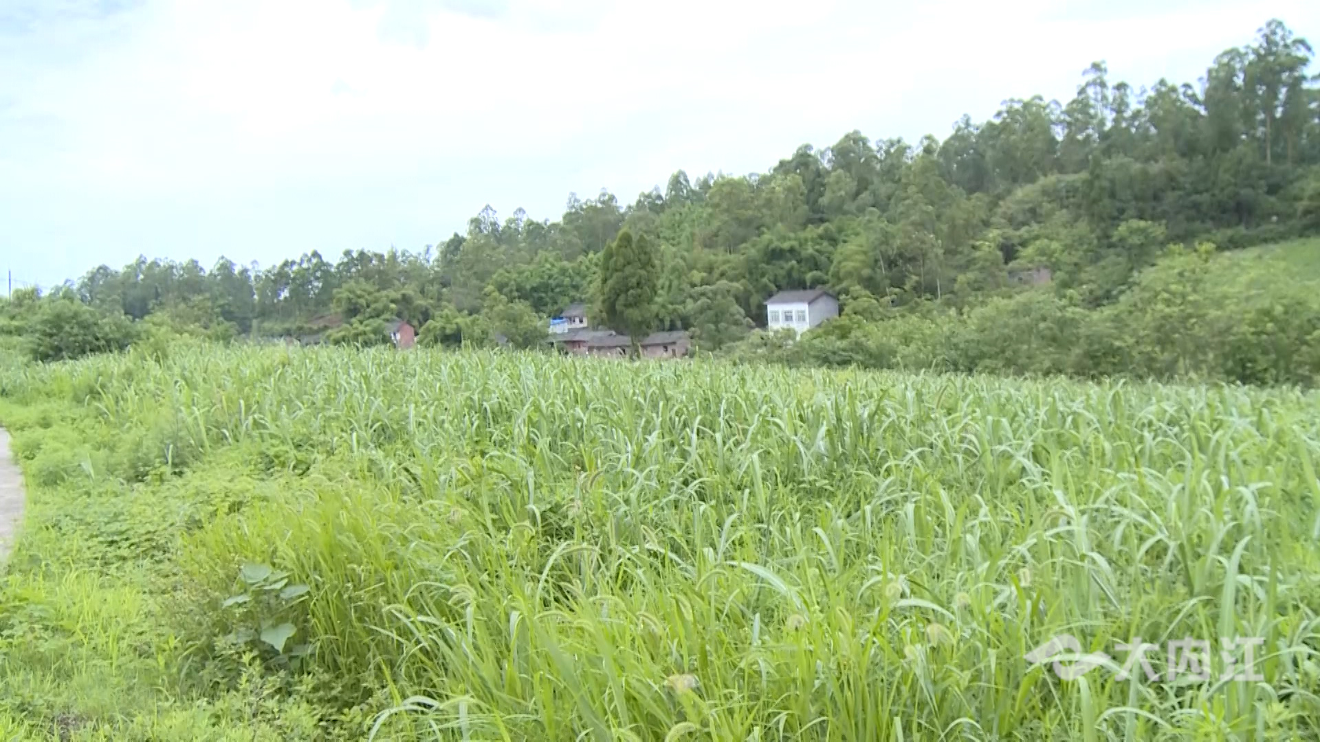 282035_1623654027911395.jpg 33.jpg