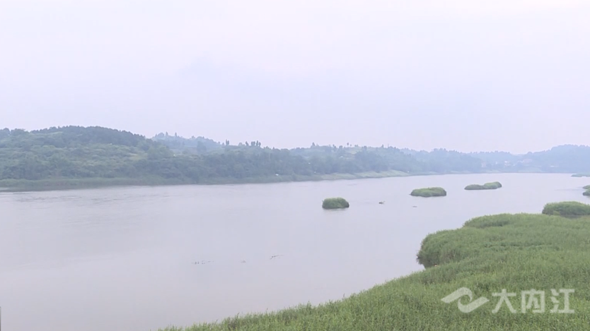 286258_1623742686773011.png 942cf925dc313fa6a776b6c9a9d833a.png