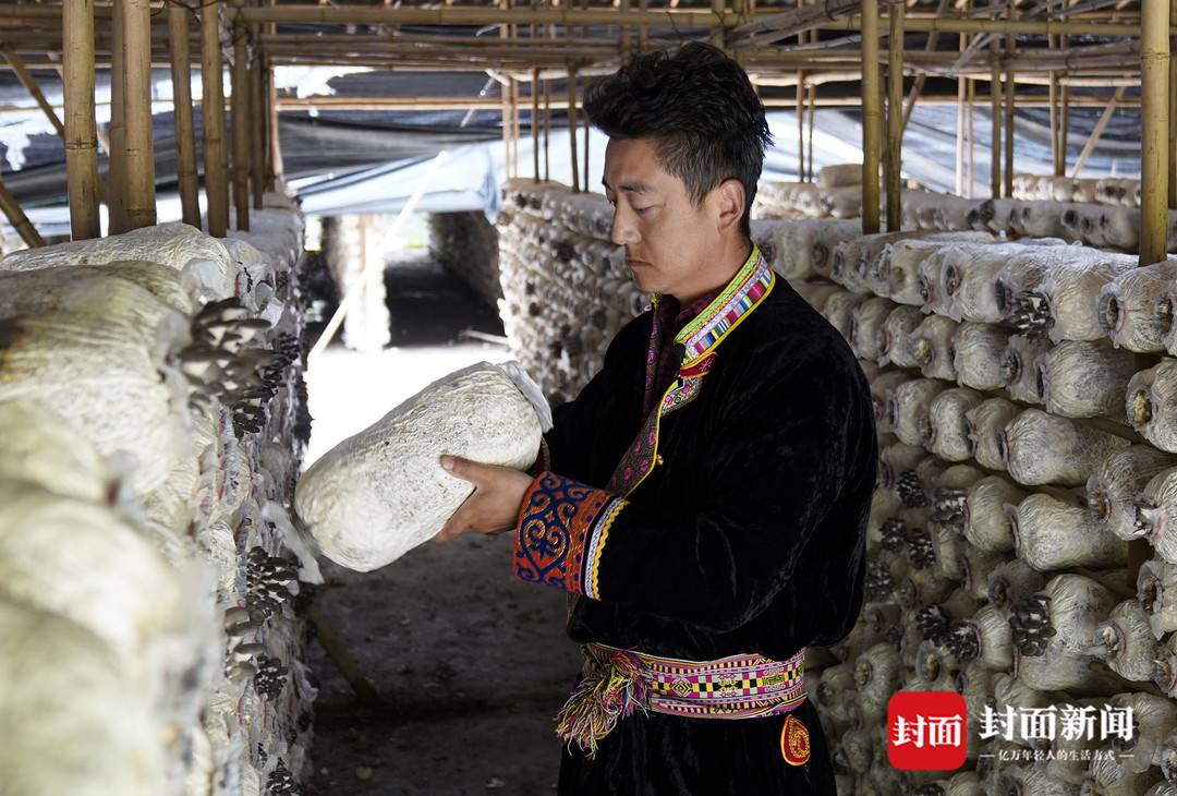 288267_1623988436762872.jpg 11.jpg