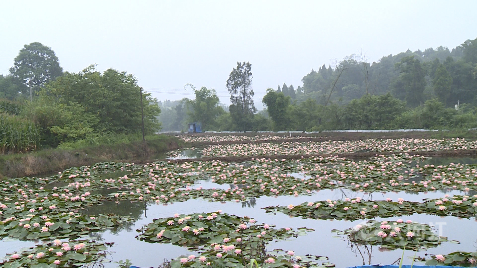 281876_1625630203223460.jpg 微信图片_20210707115540.jpg