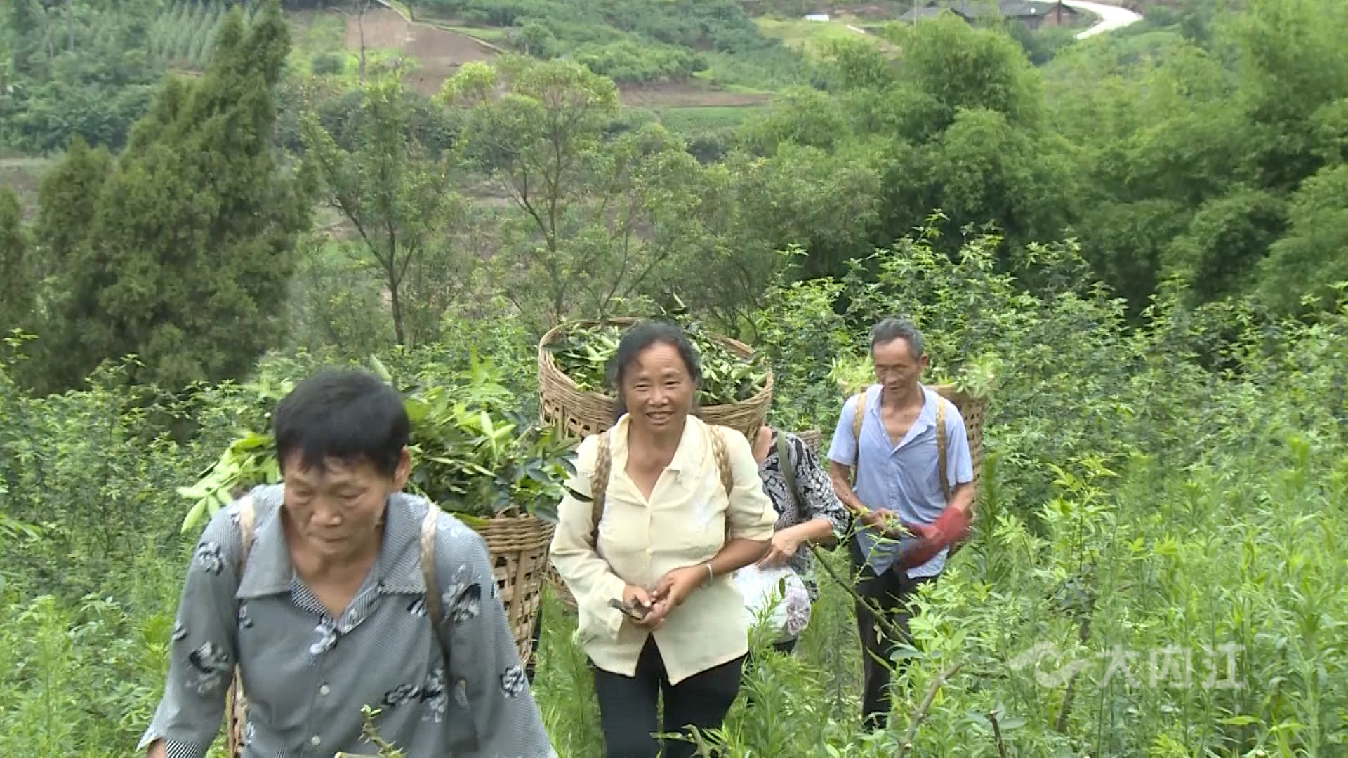 281876_1625712749929699.jpg 微信图片_20210708105051.jpg