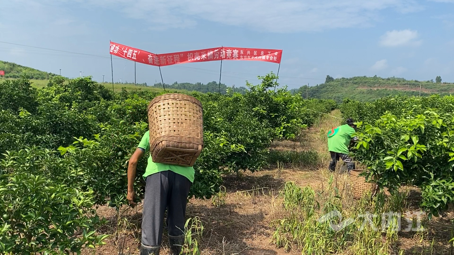 281876_1626677598599101.jpg 微信图片_20210719144635.jpg