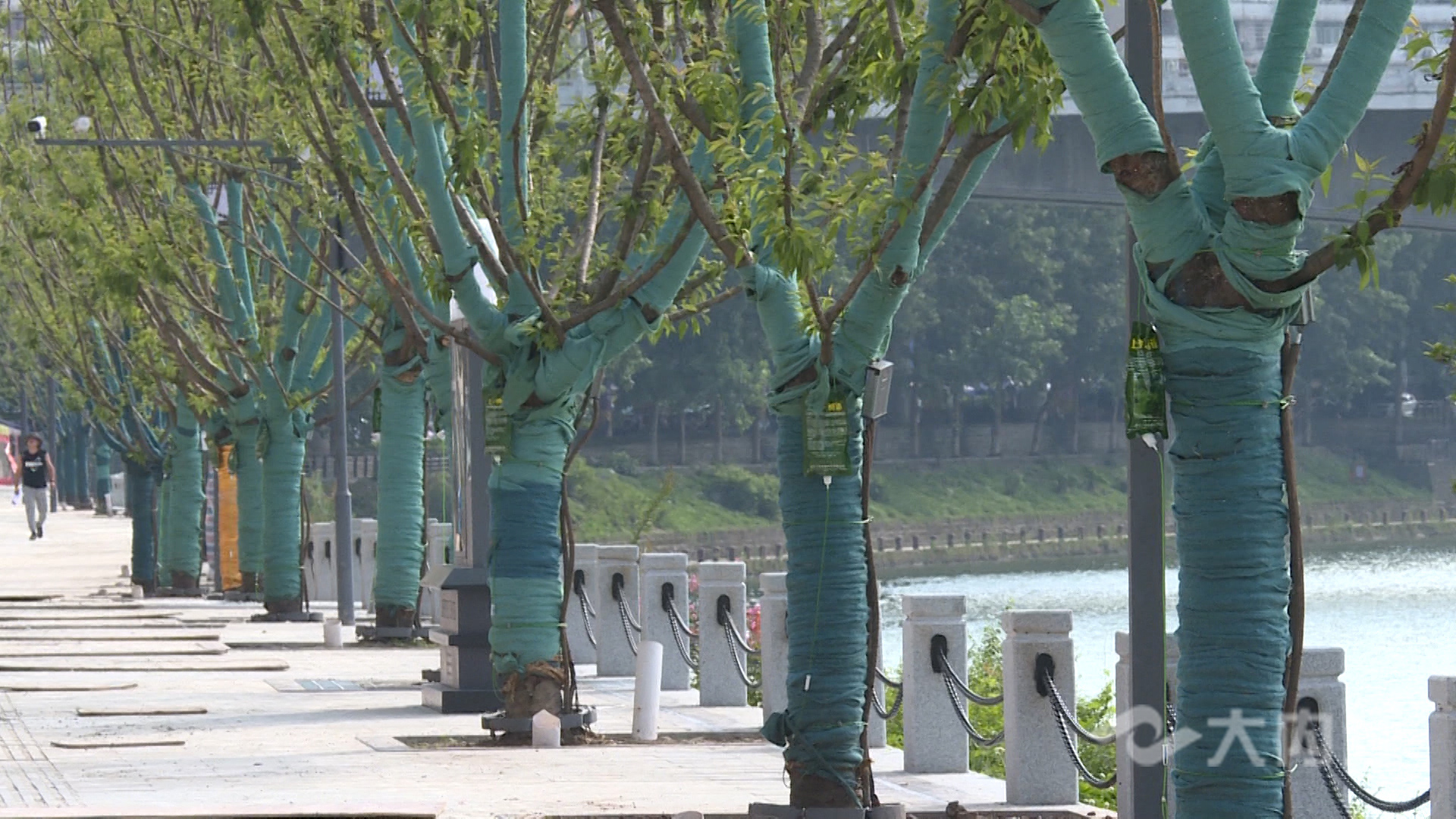 286258_1625899424154874.jpg 5.jpg