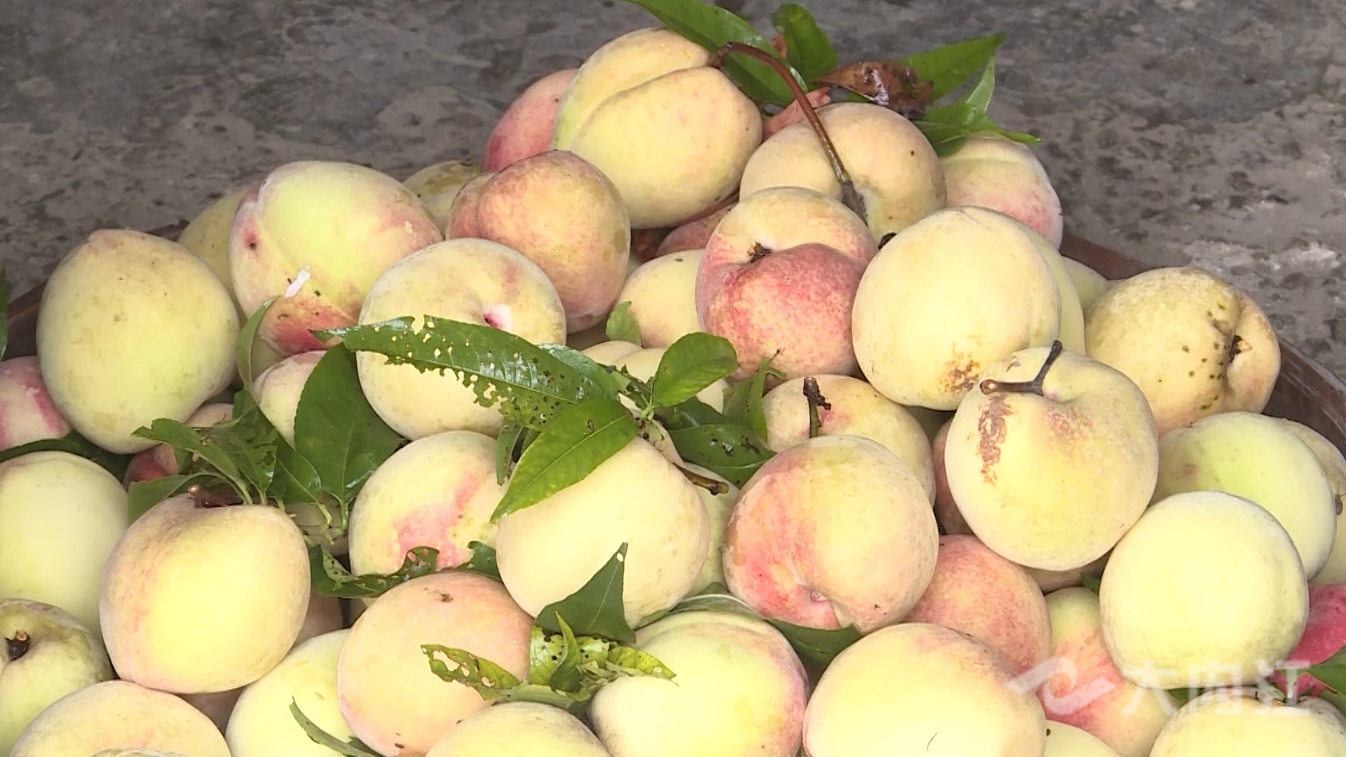 286258_1626747241213976.jpg 2ce5ff1f36aaea457433c14bfef50a6_副本.jpg