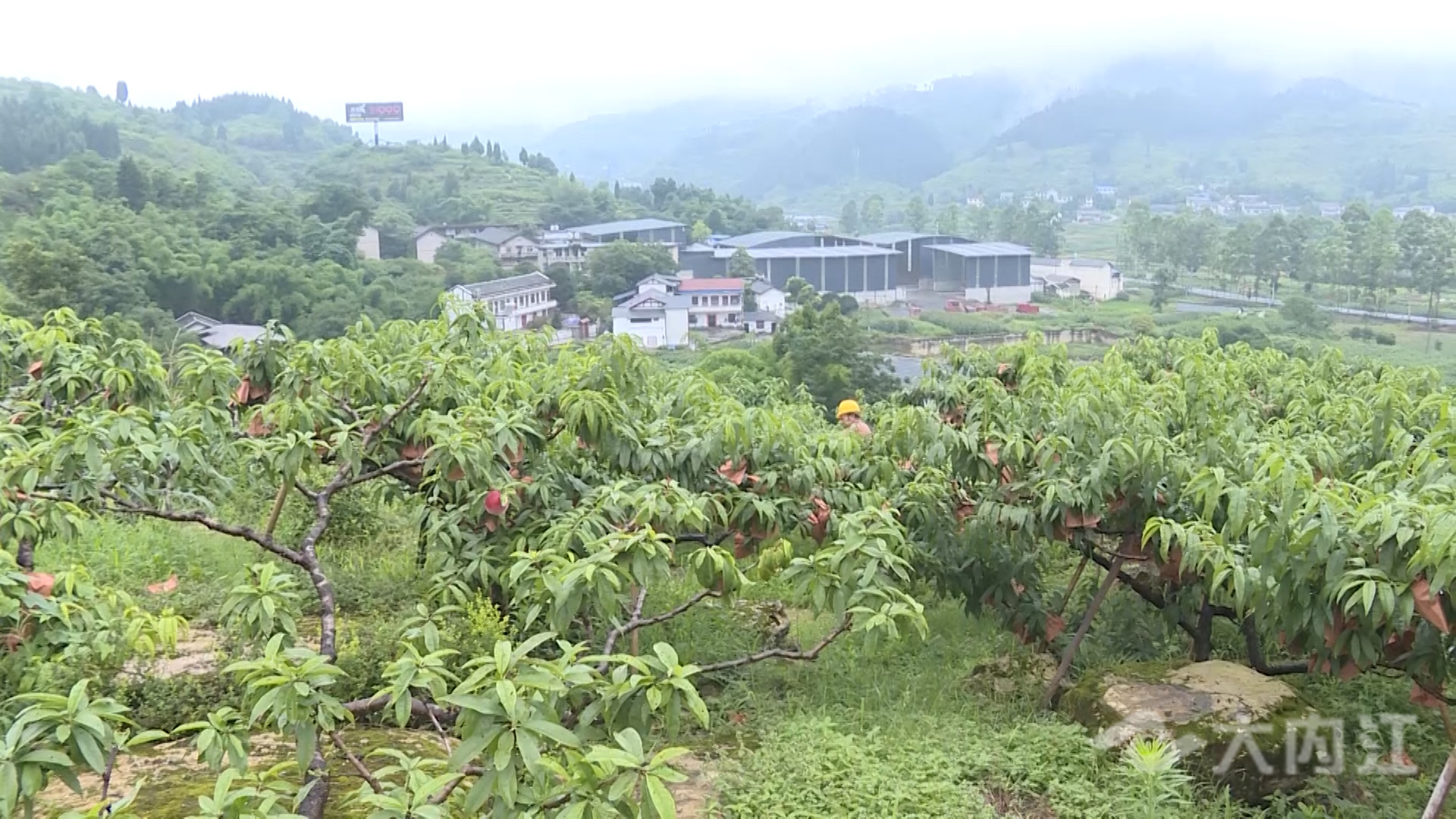 286258_1626747270229818.jpg b0f85820fb56e6d728b9afd24458795_副本.jpg