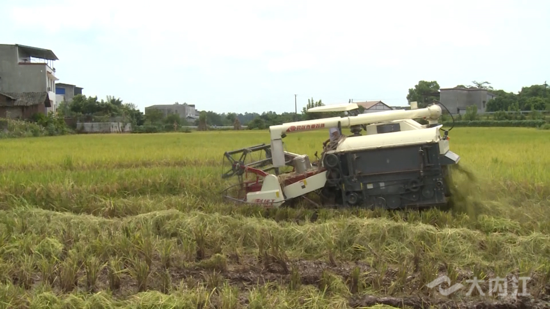 281876_1628667365244218.jpg 微信图片_20210811153453.jpg