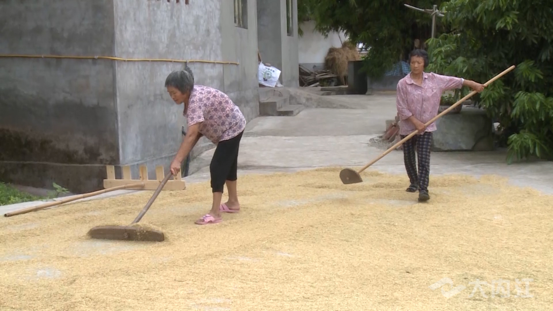 281876_1628667383276942.jpg 微信图片_20210811153456.jpg