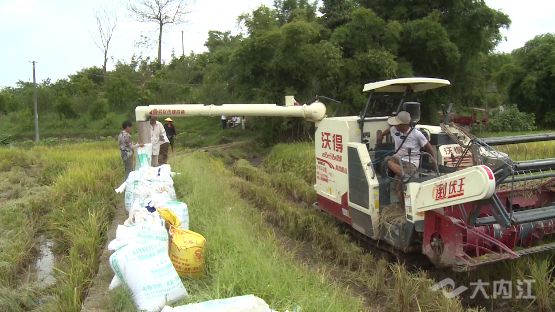 281876_1628667392883953.jpg 微信图片_20210811153459.jpg