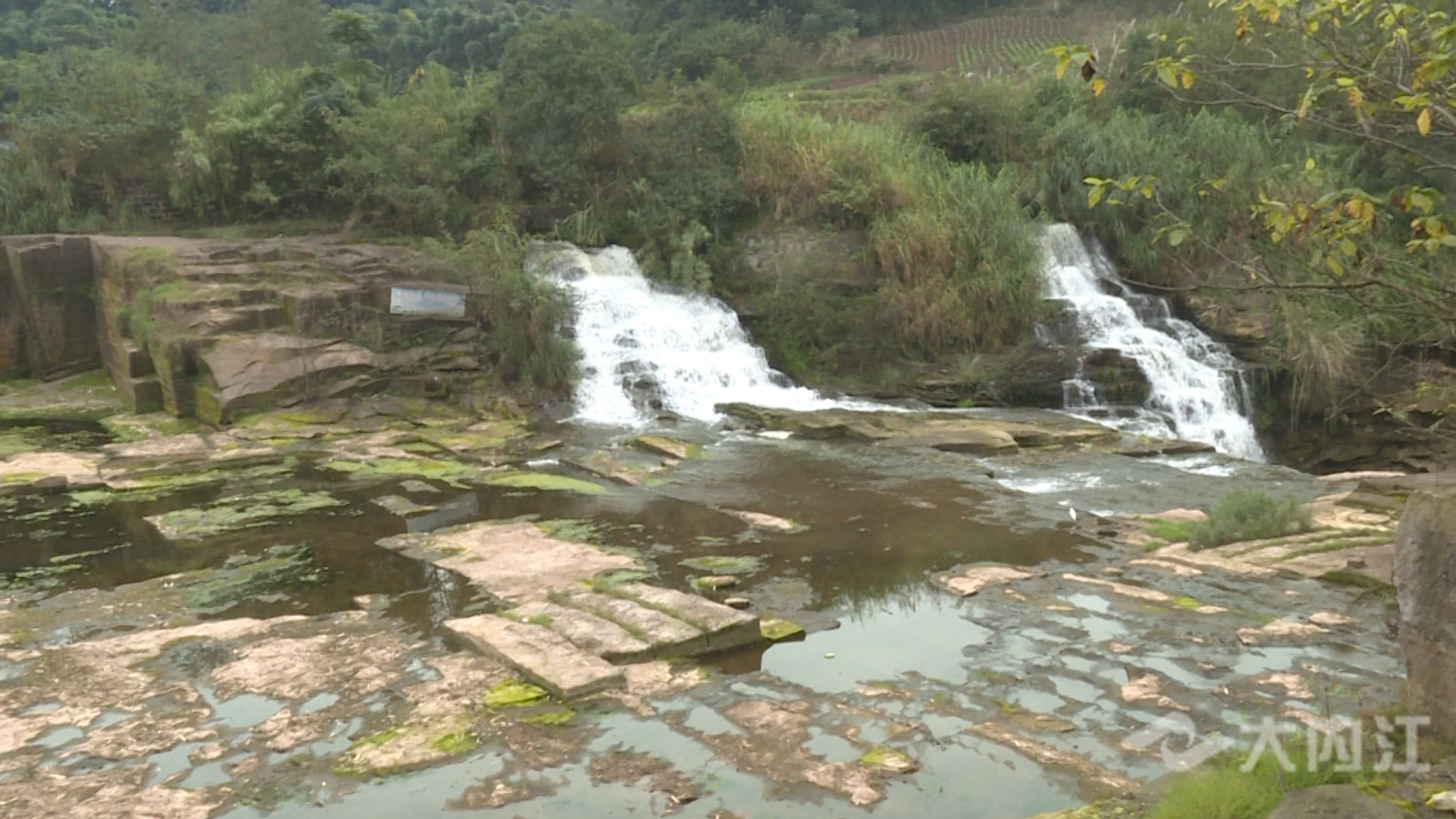 281876_1628847952329006.jpg 微信图片_20210813174321.jpg