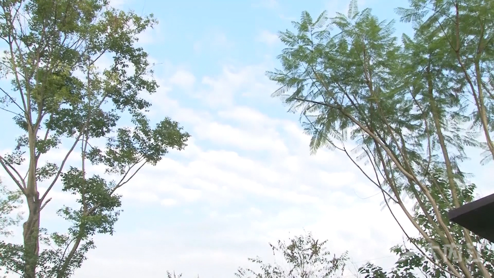 281876_1628847964510216.jpg 微信图片_20210813174301.jpg