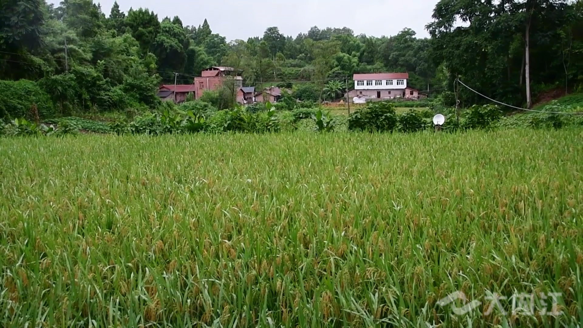 281876_1629777388671304.jpg 微信图片_20210824115511.jpg