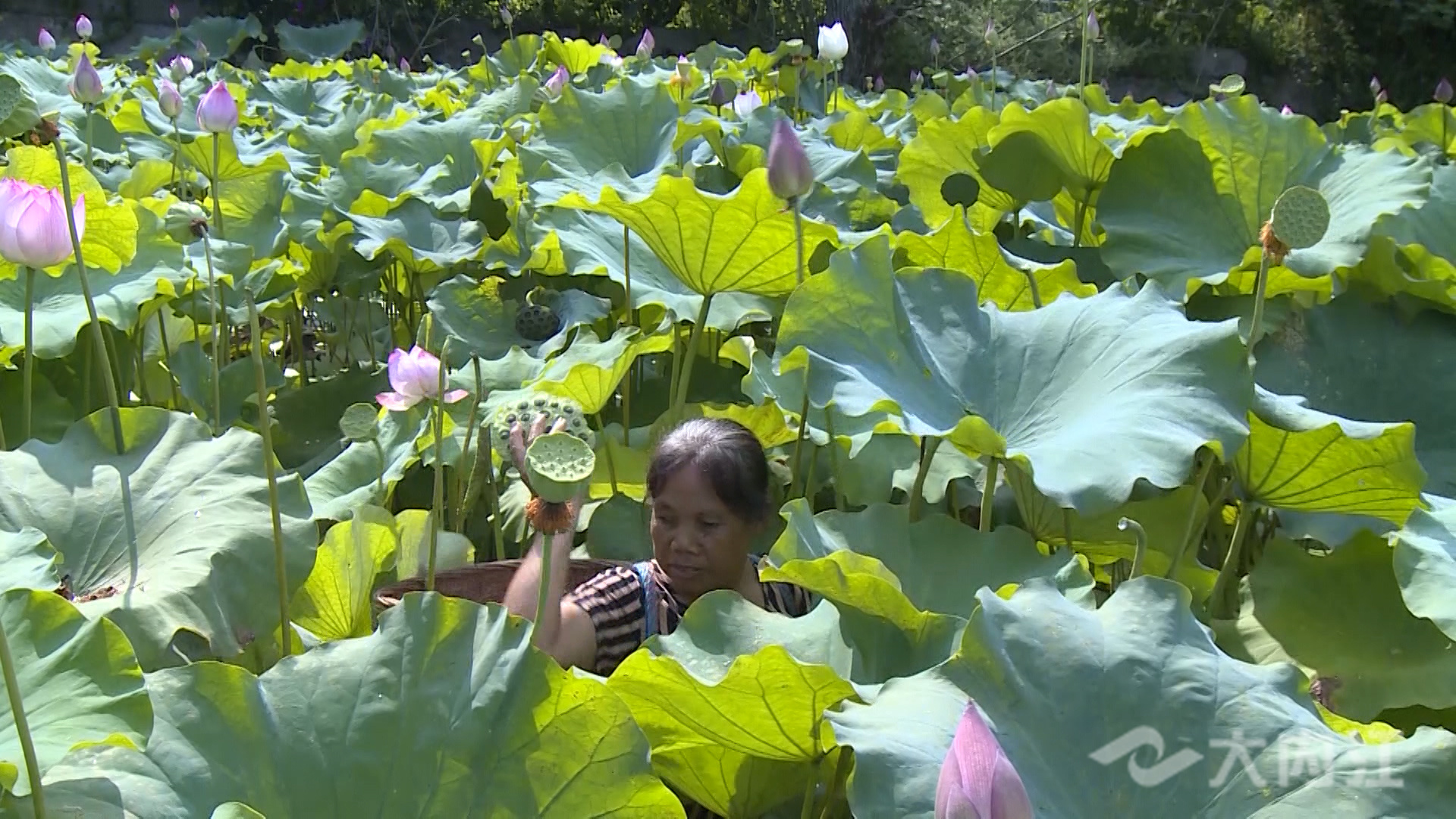 281876_1629798878886720.jpg 微信图片_20210824175344.jpg