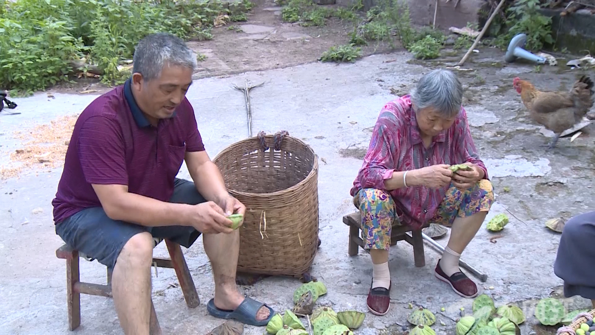 281876_1629798885852568.jpg 微信图片_20210824175348.jpg