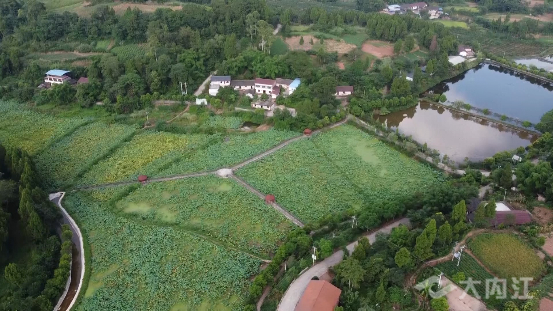 281876_1629798895625663.jpg 微信图片_20210824175358.jpg