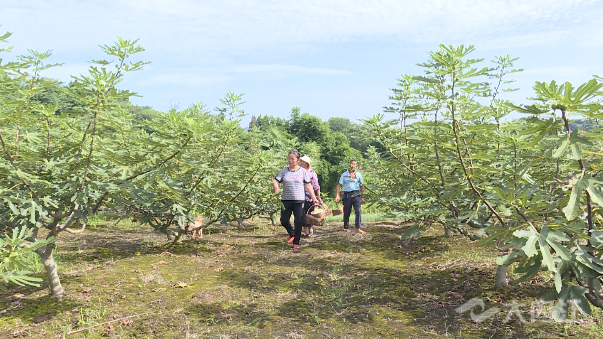 281876_1629963250954610.jpg 微信图片_20210826153152.jpg