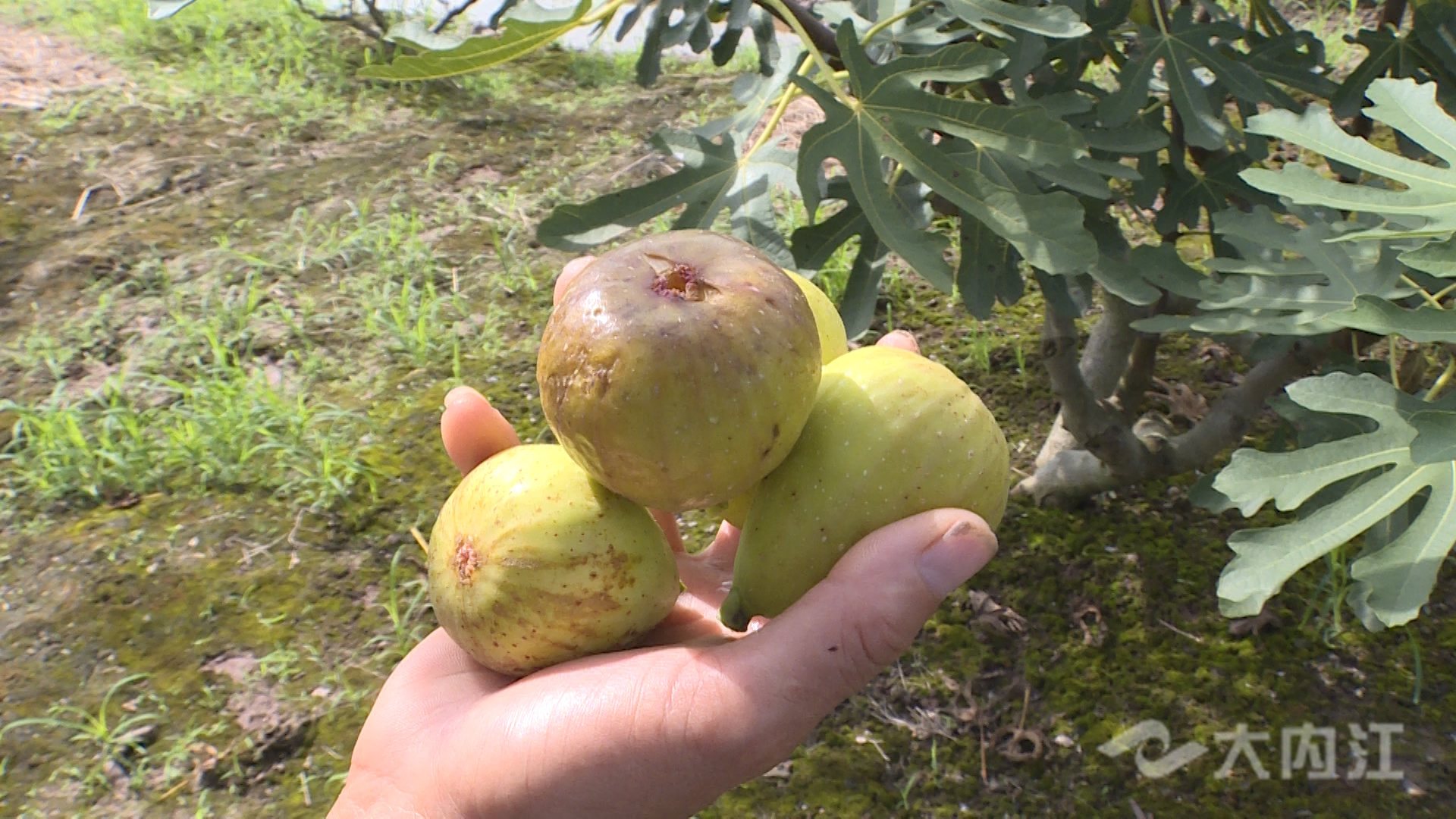 281876_1629963258146282.jpg 微信图片_20210826153149.jpg