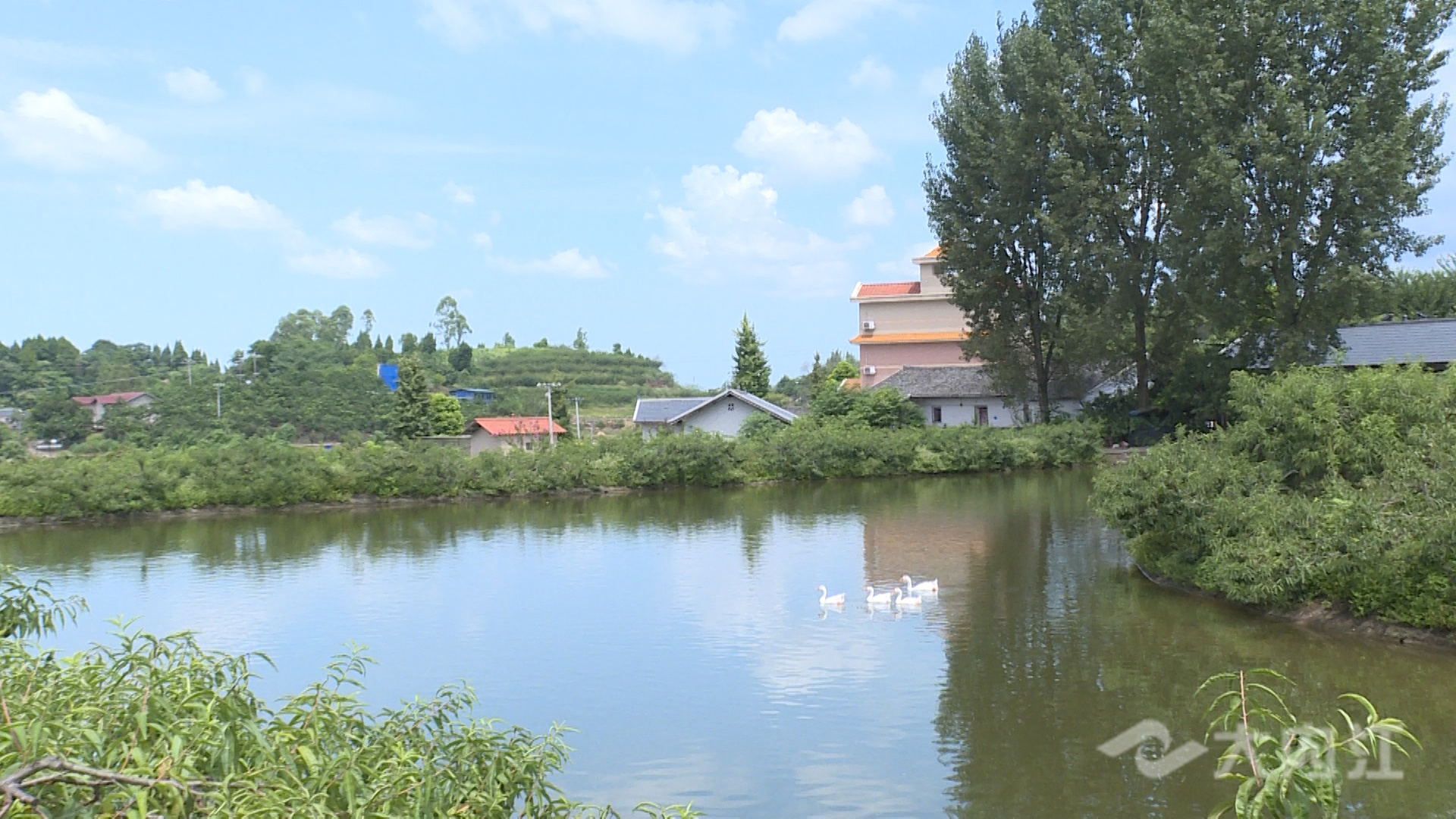 281876_1629963282506441.jpg 微信图片_20210826153134.jpg