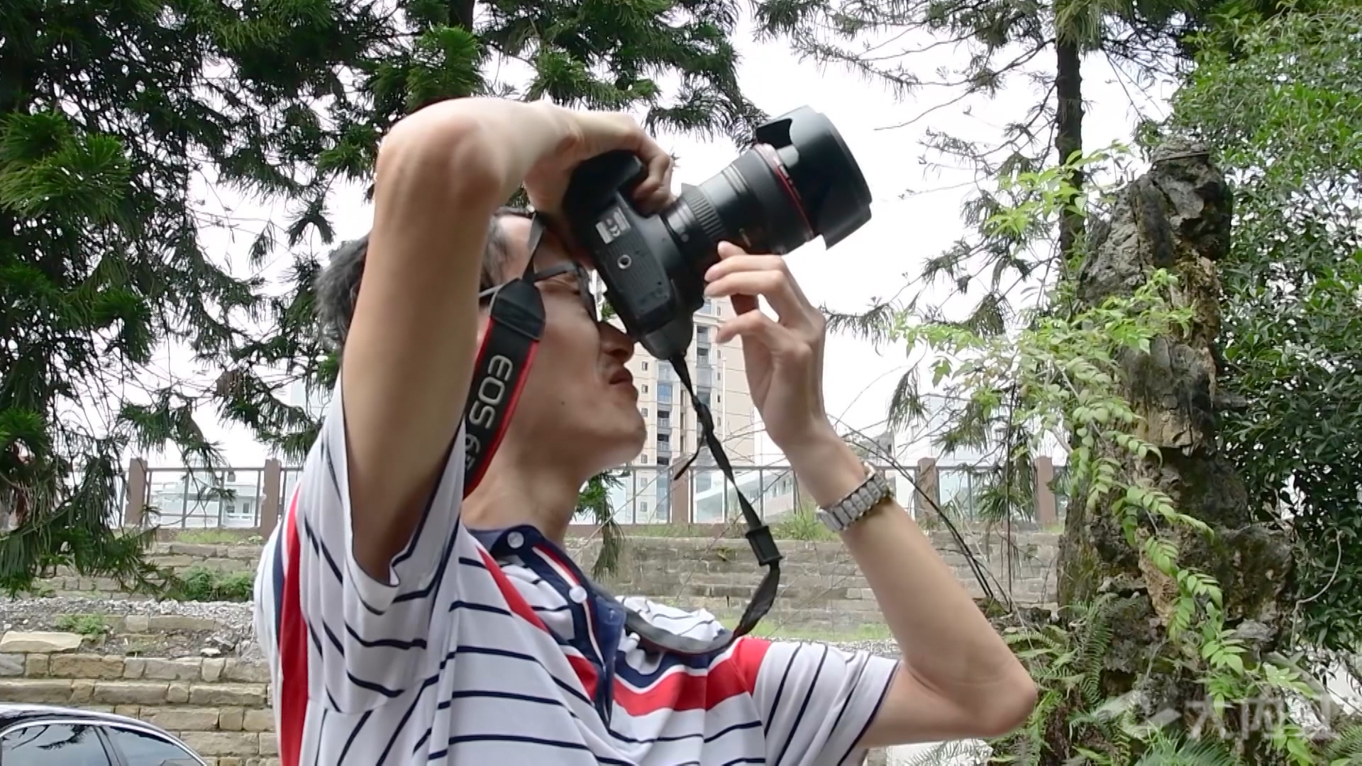 281876_1630055195854917.jpg 微信图片_20210827170548.jpg