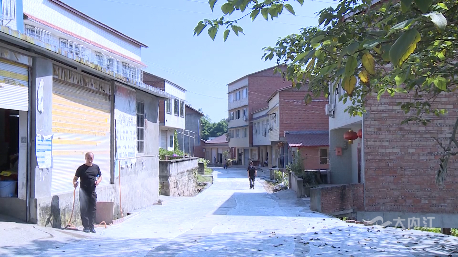 282035_1627973591759458.jpg 微信图片_20210803145102.jpg