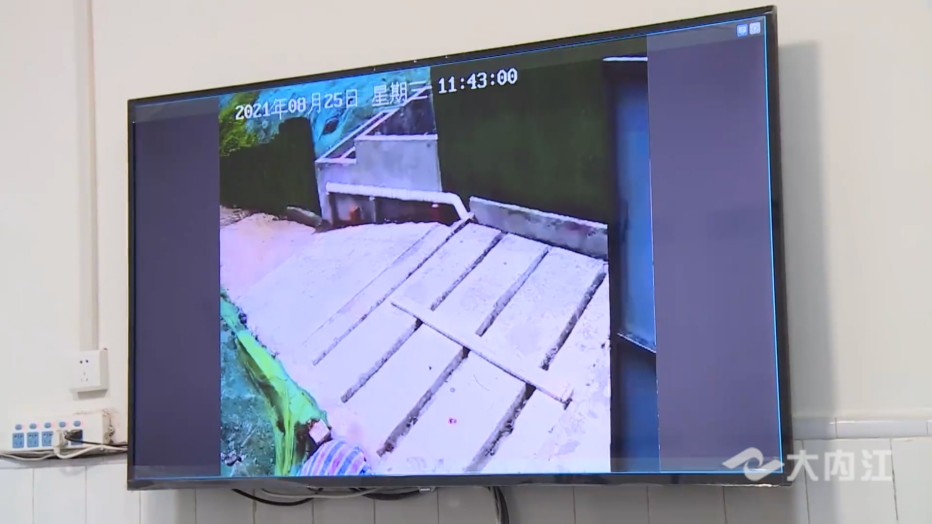 282035_1630123615305200.jpg 5.jpg