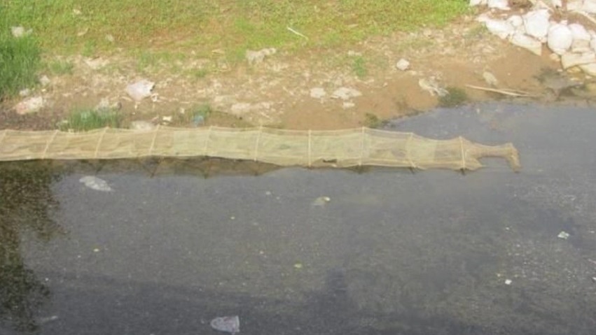 285482_1628738003450830.png 285482_1628738003450830.png