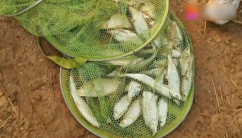 285482_1628738050981290.png 285482_1628738050981290.png