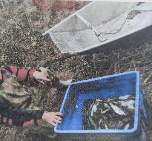 285482_1628738096177399.png 285482_1628738096177399.png