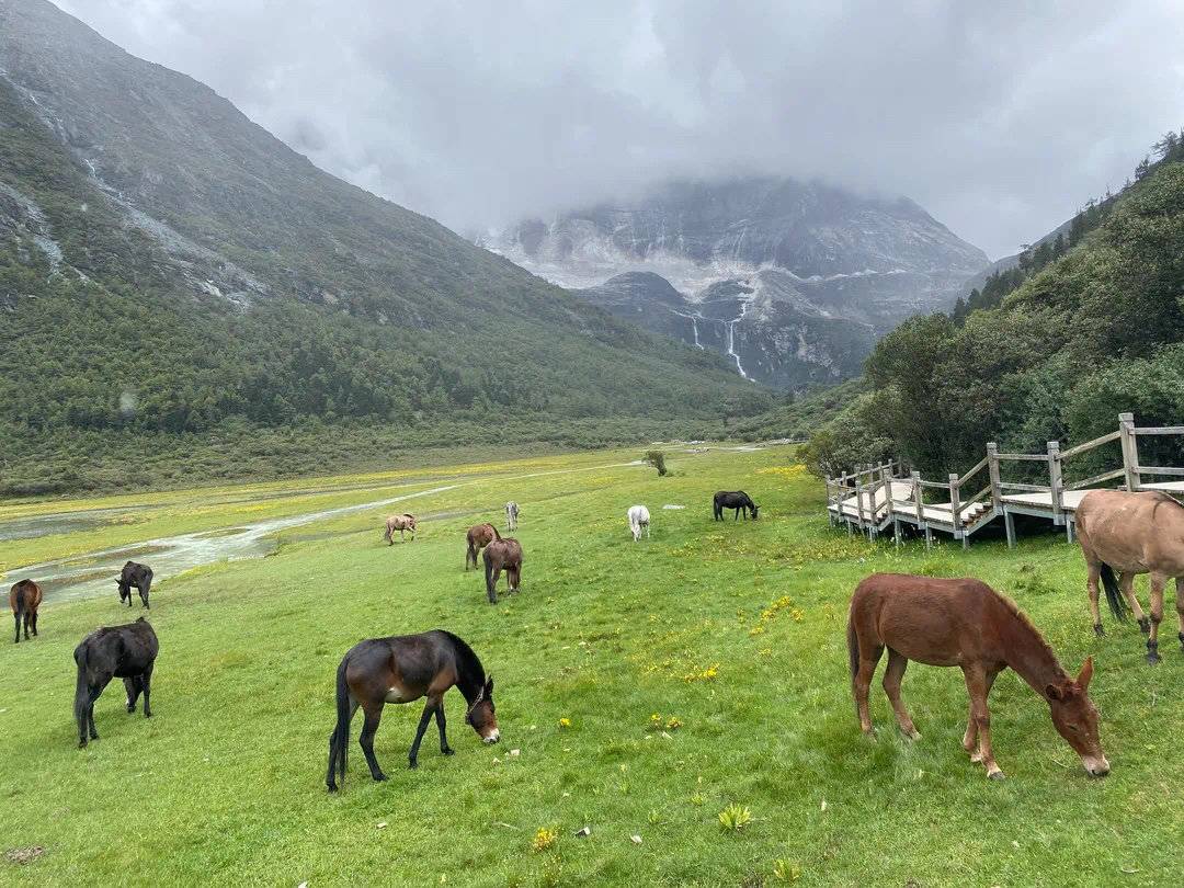 286144_1630378916369707.jpg 微信图片_20210831110112.jpg