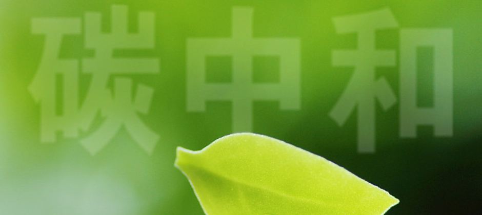 269955_1631084757760058.png 3.png