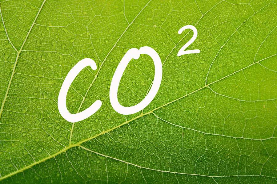 269955_1631084809640315.jpg 4.jpg