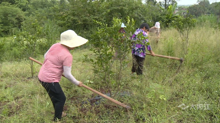 282035_1630487904556133.png 微信图片_20210901171544.png