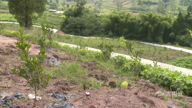 282035_1630487916704005.png 微信图片_20210901171548.png