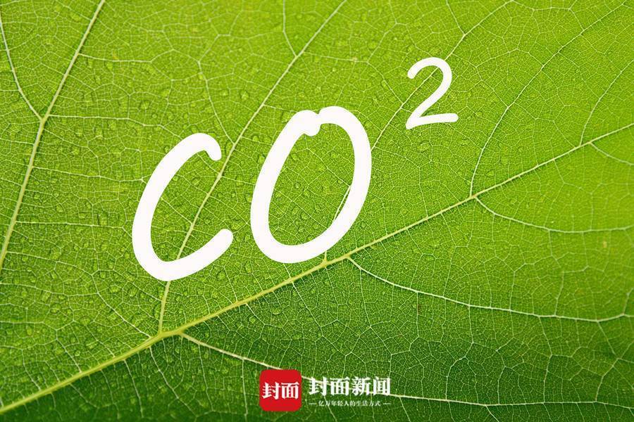 286144_1632368225861390.jpg 微信图片_20210923113654.jpg