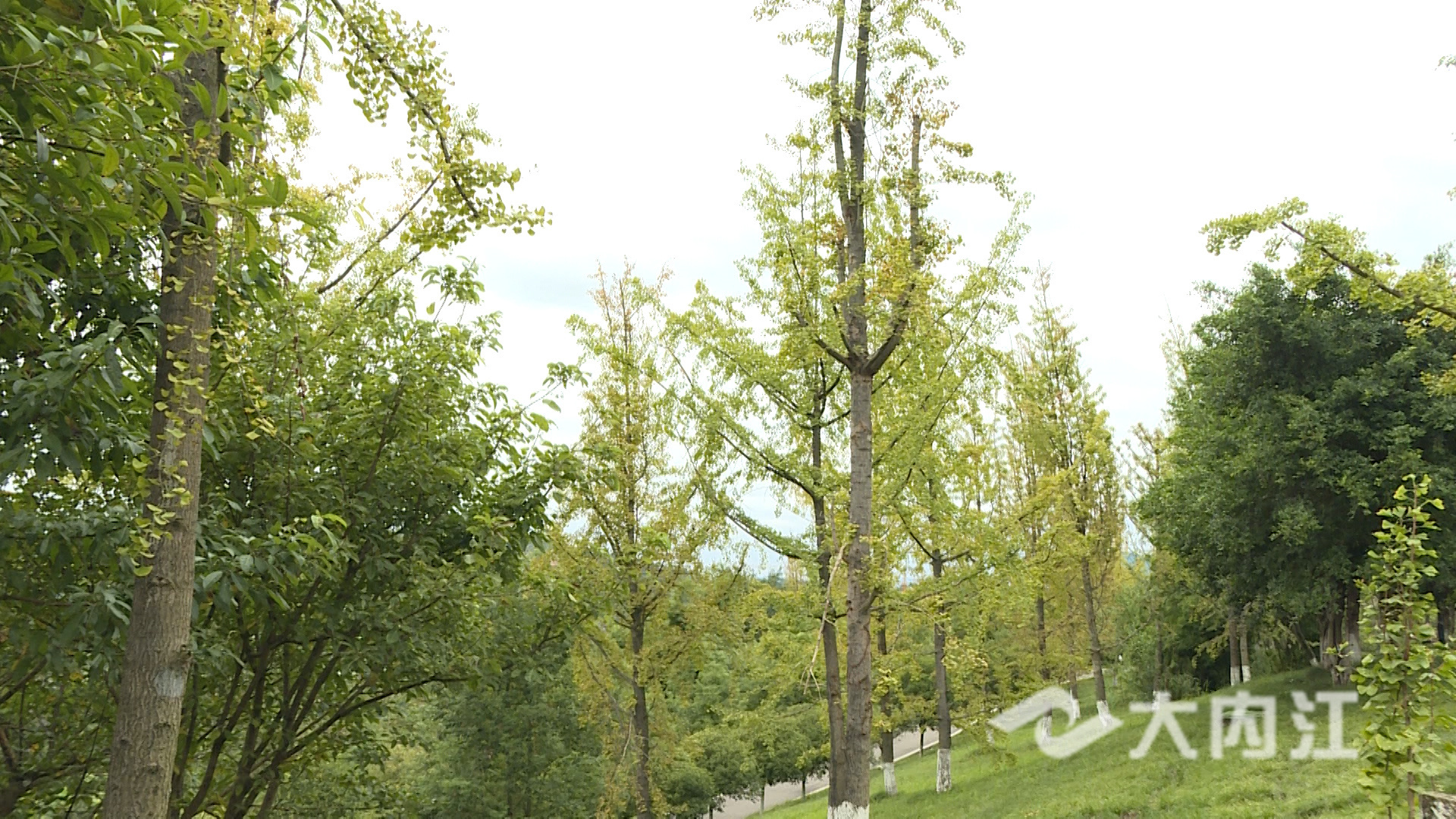 281876_1634627238928517.jpg 微信图片_20211019150348.jpg