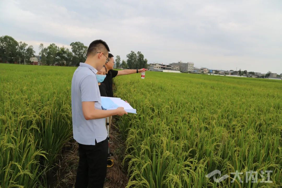 281876_1634693693517653.jpg 微信图片_20211020093402.jpg