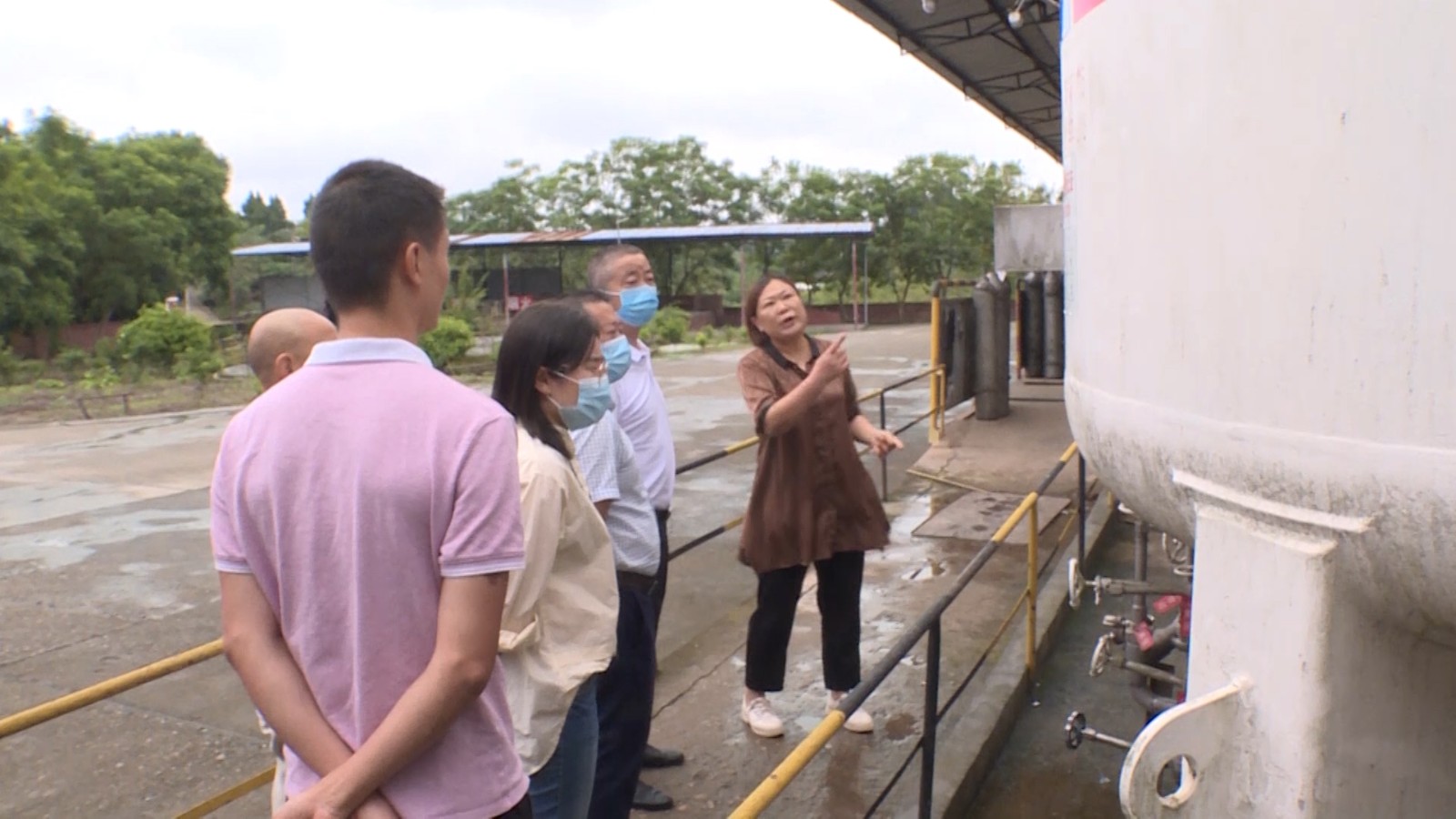 281921_1633021460134184.jpg Arrival of the Birds.00_00_18_15.Still002.jpg