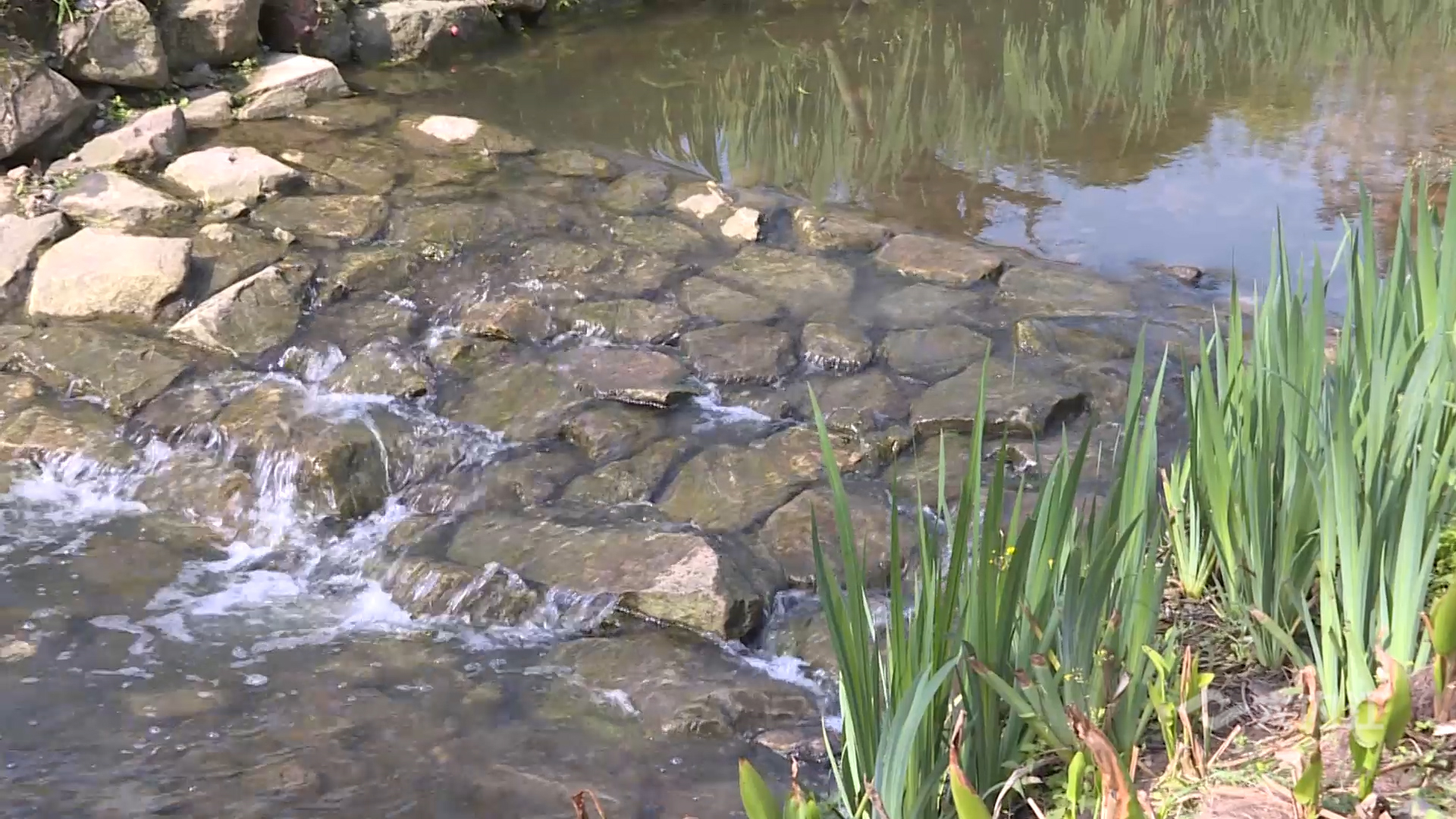 282035_1634184391305082.jpg 微信图片_20211014120348.jpg